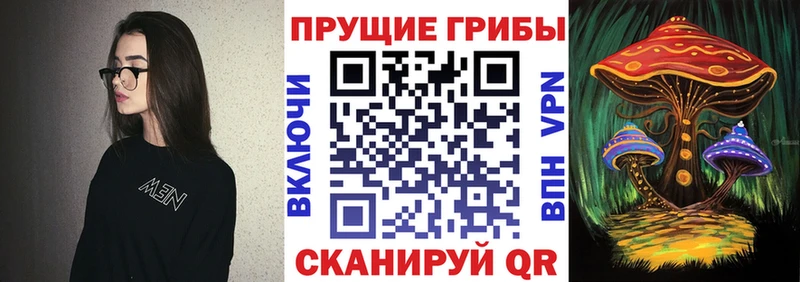 omg как войти  наркота  Краснотурьинск  Псилоцибиновые грибы Cubensis 